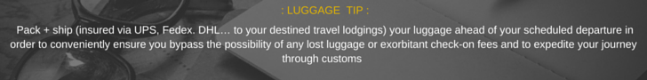 Luggage Tip (monk + eero)