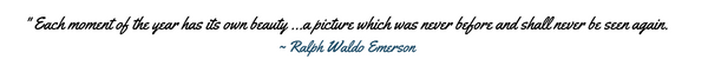 ralph-waldo-emerson-quote-on-nature (monk + eero)
